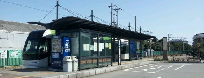 Iwasehama Station is one of 富山ライトレール.