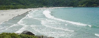 Praia de Naufragados is one of Praias de Florianópolis.