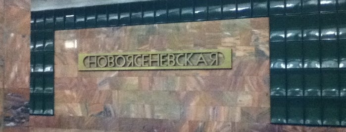 Метро Новоясеневская is one of Московское метро.