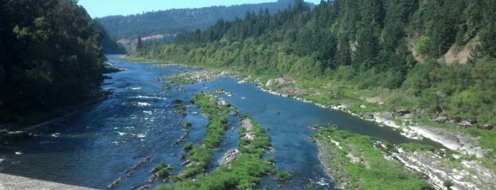 Umpqua River is one of Petr : понравившиеся места.