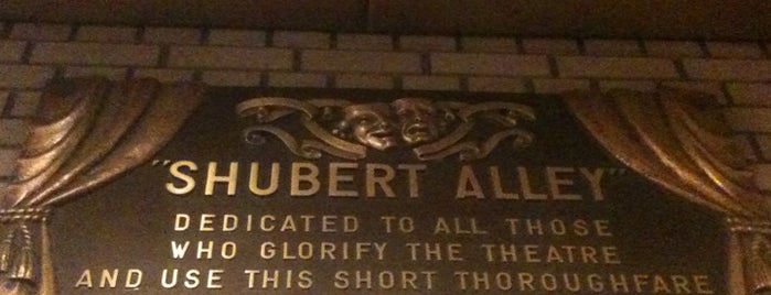 Shubert Alley is one of New York City 2008.