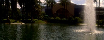 Echo Lake is one of Walt Disney World - Disney's Hollywood Studios.