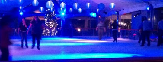 The Rink @ Park Tavern (Piedmont Park) is one of Hadrianさんの保存済みスポット.