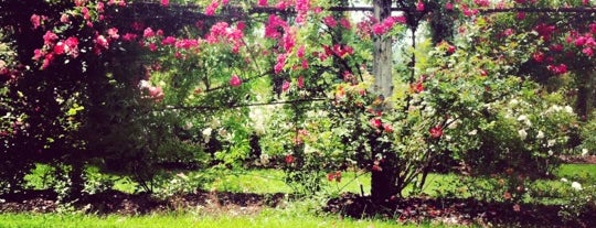 Elizabeth Park Rose Garden is one of Locais curtidos por Candice.