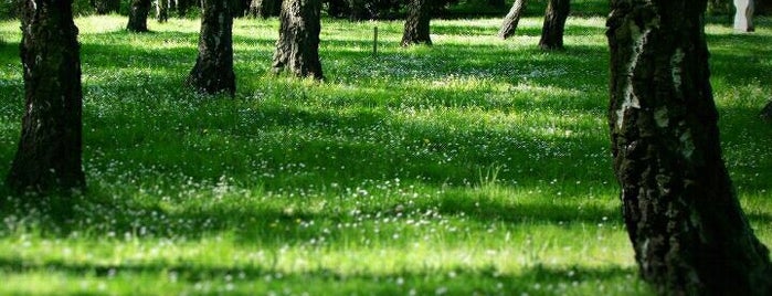 Park Śląski is one of Silesian Green Outdoors.