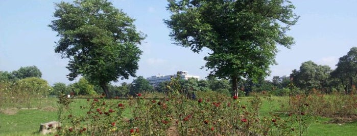 Rose Garden is one of Chandigarh Must Visit Places.