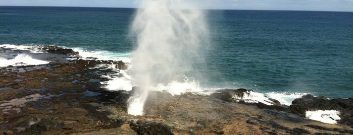 Spouting Horn State Park is one of aloha kauai!.