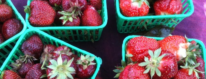 Wychwood Barns Farmers' Market is one of Toronto x Marketplaces.