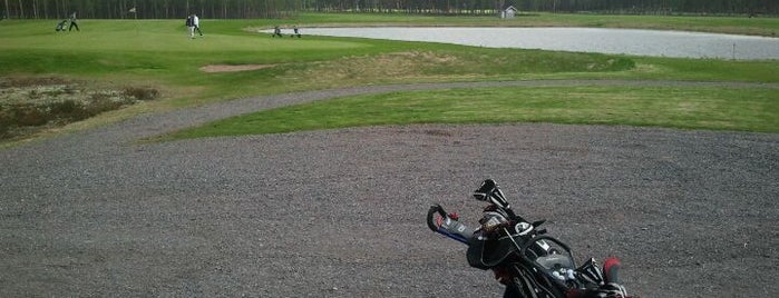Alastaro Golf is one of All Golf Courses in Finland.
