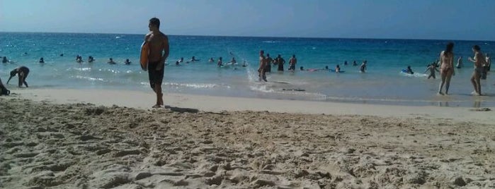 La'Aloa Bay Beach (White Sands Beach Park) is one of Hawai'i Essentials.