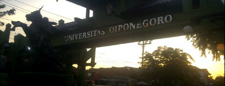 Universitas Diponegoro is one of State University.