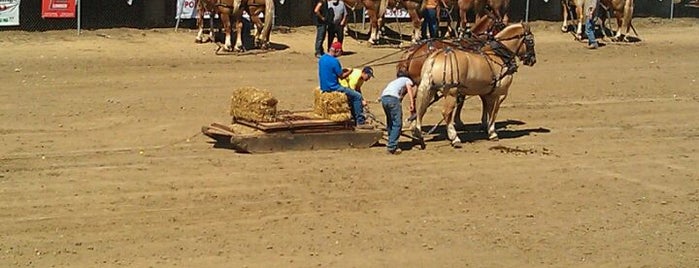 Armada Fair is one of Lugares favoritos de Jason.