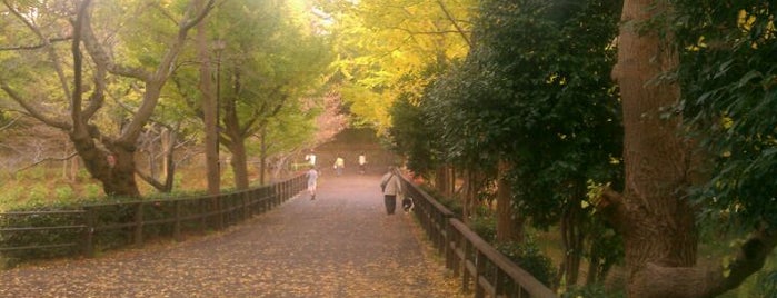 三ツ池公園 is one of 神奈川県の公園.