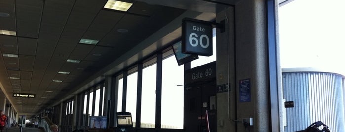 Gate A14 is one of Lugares favoritos de Robert.