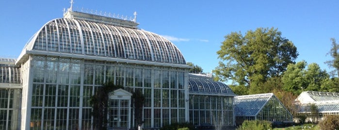 Kaisaniemi Botanic Garden is one of Summer activities for travellers in Helsinki.