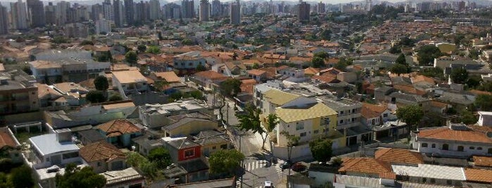 Campestre is one of Lugares favoritos de Estevão.