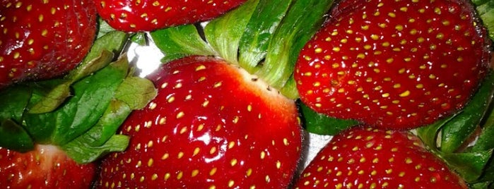 KHM Strawberry Farm is one of Best Food Corner (1) ;).