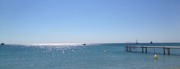 Key West Beach is one of Ale'nin Beğendiği Mekanlar.