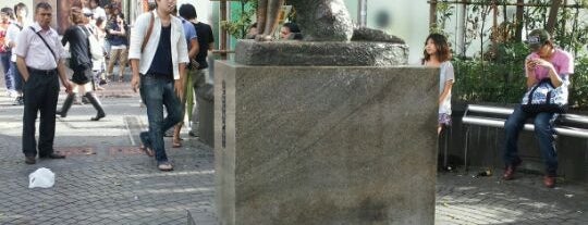 Stazione Di Shibuya is one of Stations/Terminals.