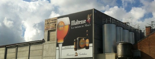 Brasserie Castelain - CH'TI 62 is one of Ultimate Brewery List.