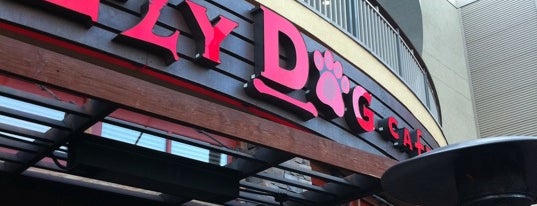 Lazy Dog Restaurant & Bar is one of A local’s guide: 48 hours in Redondo Beach, CA.