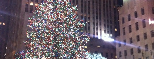 Rockefeller Center is one of Ghostbusters Tour: Dogs and Cats Living Together.