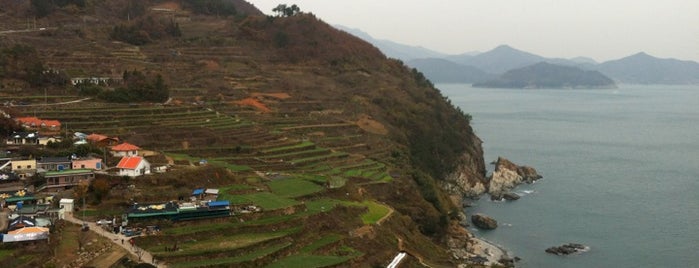 Darangee Village is one of 보물섬투어.