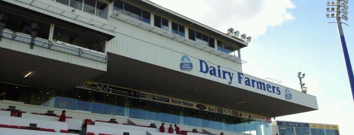 1300 Smiles Stadium is one of Soccer.