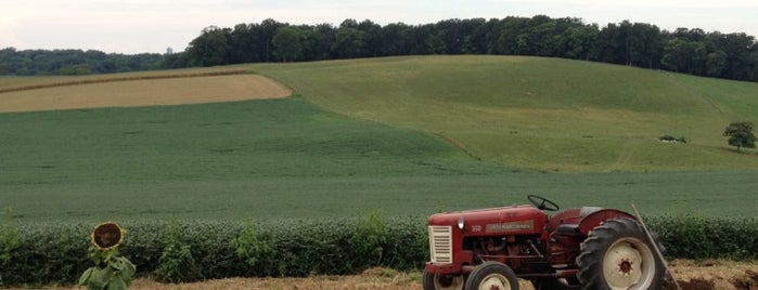 England Acres Farm Market is one of Sarahさんのお気に入りスポット.