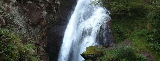 Cascata dell’Avisio (Cavalese) is one of alessandro 님이 저장한 장소.