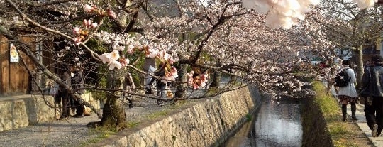 Philosopher's Path is one of kyoto.