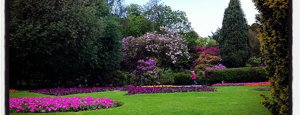 Darley Park is one of Lugares favoritos de Shaun.