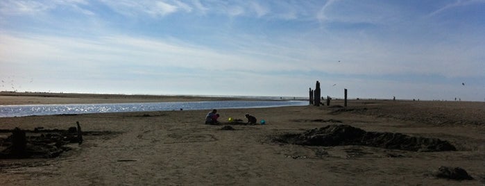 Pacific Beach State Park is one of Washington state parks.