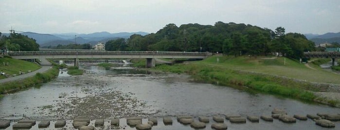 Kamogawa River Delta is one of いろんな橋梁.