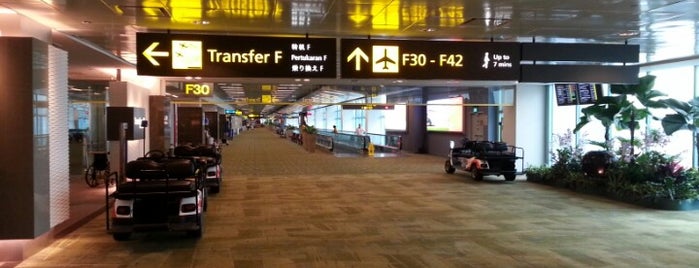 Международный аэропорт «Чанги» (SIN) is one of Must Visit Li0n City Singap0re.