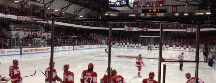 Matthews Arena is one of College Hockey Rinks.