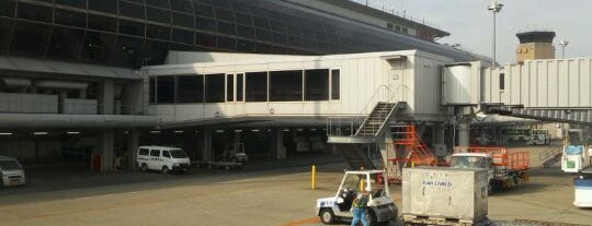 Sendai International Airport (SDJ) is one of Ariports in Asia and Pacific.