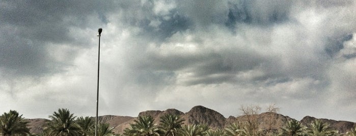 Uhud Dağı is one of Madinah, KSA - The Prophet's City #4sqCities.