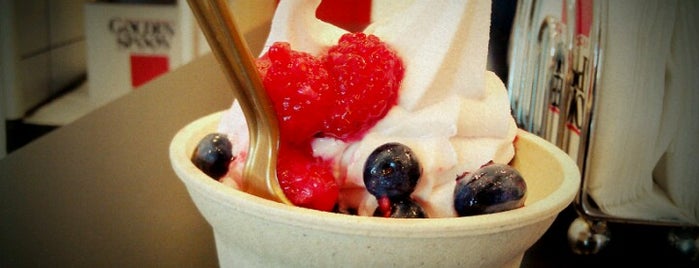 Golden Spoon Frozen Yogurt is one of Locais curtidos por Flora.