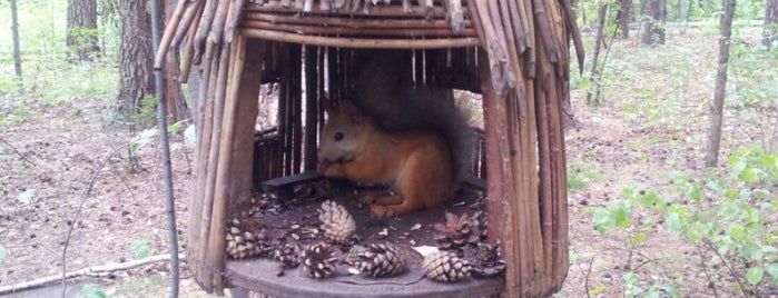 Novosibirsk Zoo is one of Tempat yang Disimpan Вадим Dj Ritm.