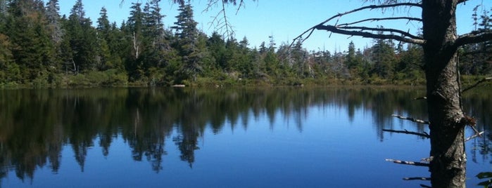Sargent Mountain Pond is one of Guide to Mt Desert's best spots.