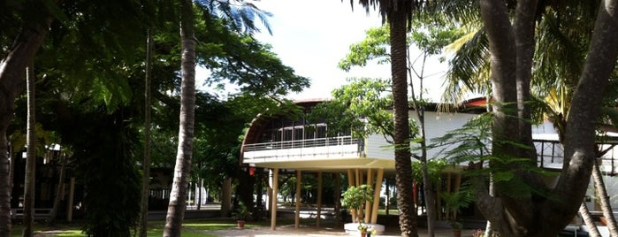 Communauté du Pacifique (CPS) - Pacific Community (SPC) is one of Nouméa, le Paris du Pacifique.