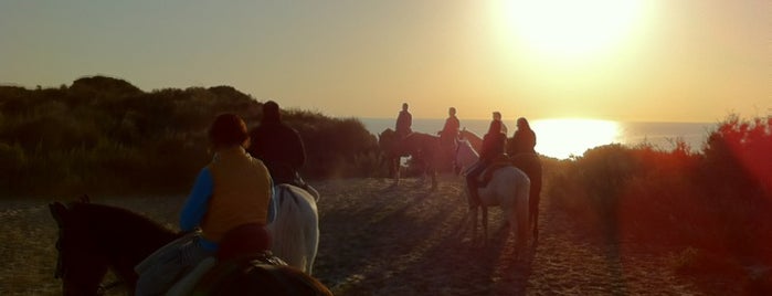 Arte Andaluz is one of Lugares habituales.