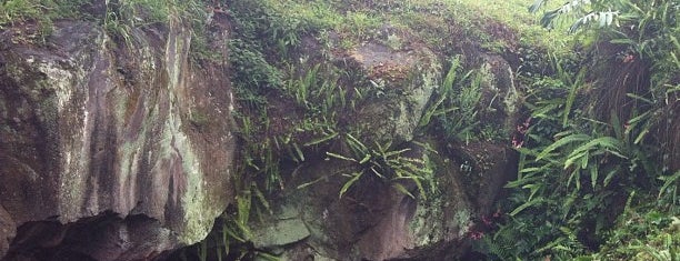 La Cueva De La Orquidea is one of #4sqCities #Xalapa.