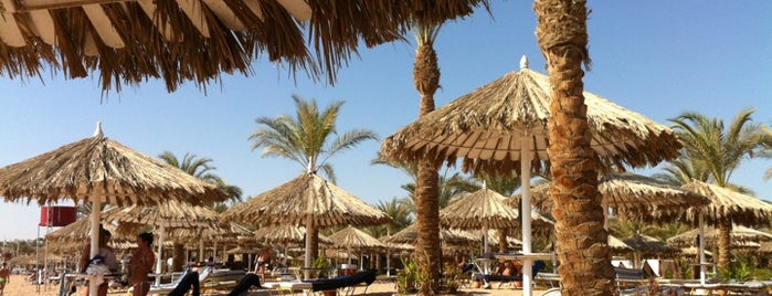 Hilton Fayrouz Resort is one of Be Charmed @ Sharm El Sheikh.