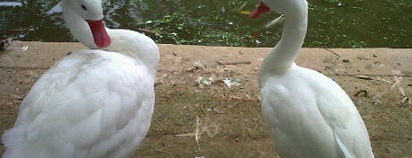 Zoo de Pomerode is one of parques.