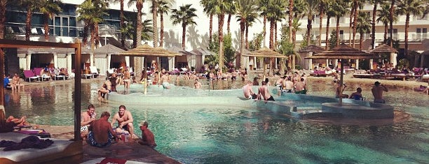 Beachlife at Hard Rock Hotel is one of Las Vegas Pools Guide.