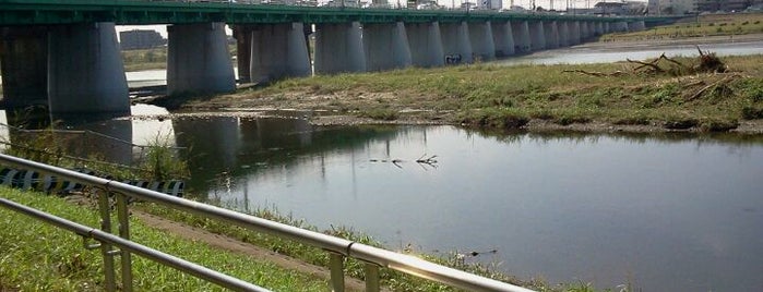 野川、多摩川合流 is one of 多摩川.