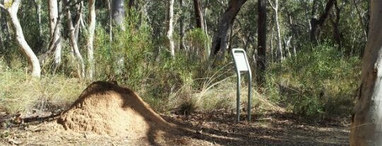 Calvary Veterans Walk is one of Canberra's Outdoor Running, Walking, Riding Trails.