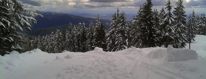Mt Seymour Resorts is one of Western Canada.